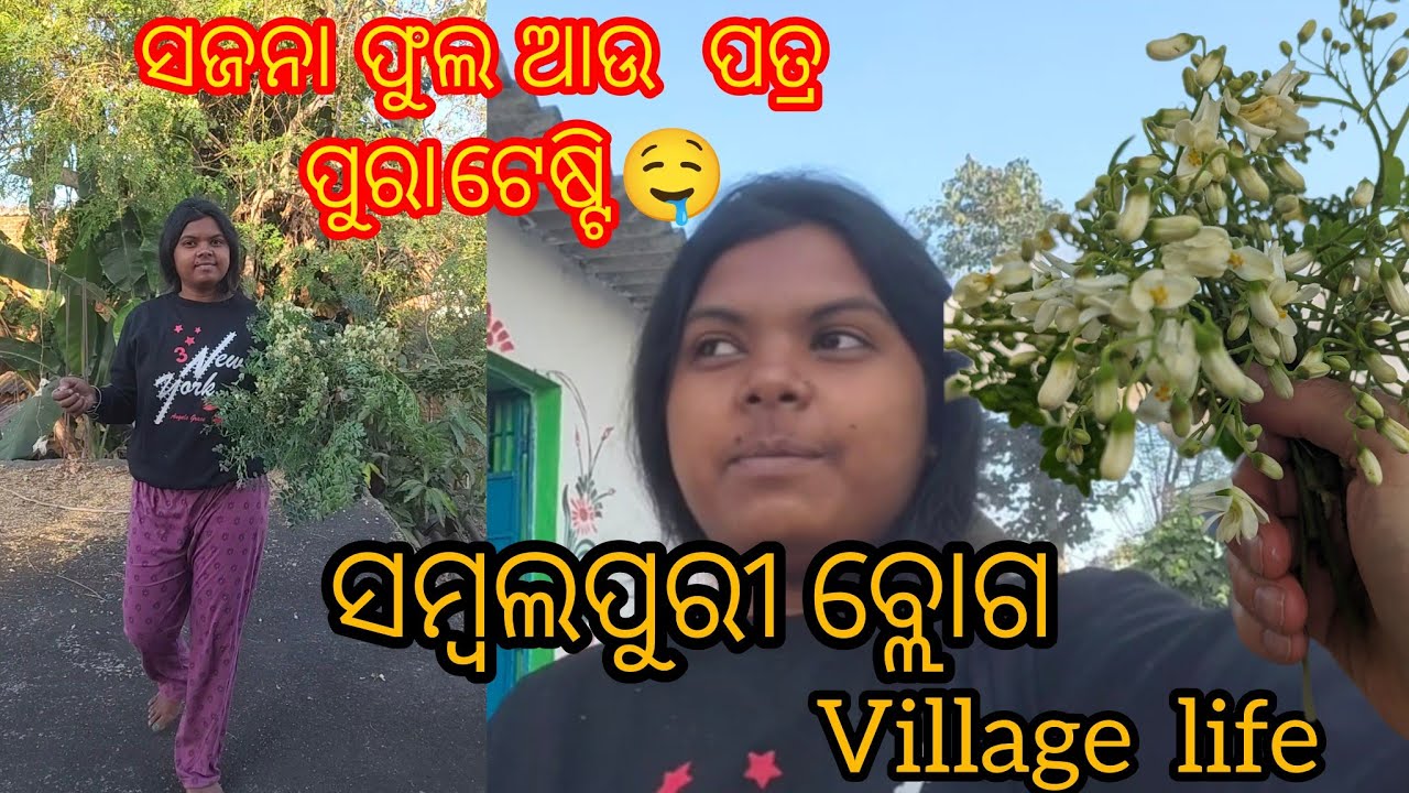 ଆଘର ଲେଖେ ମୁଇ ଭିଡିଓ ବନେଇ ନାଇଁ ପାରବାର 🙄/#Nitavillagevlog 