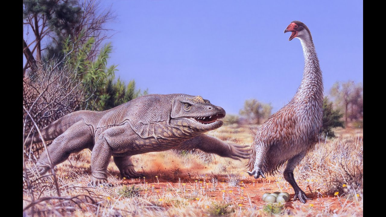 Megalania: The Giant Australian Lizard