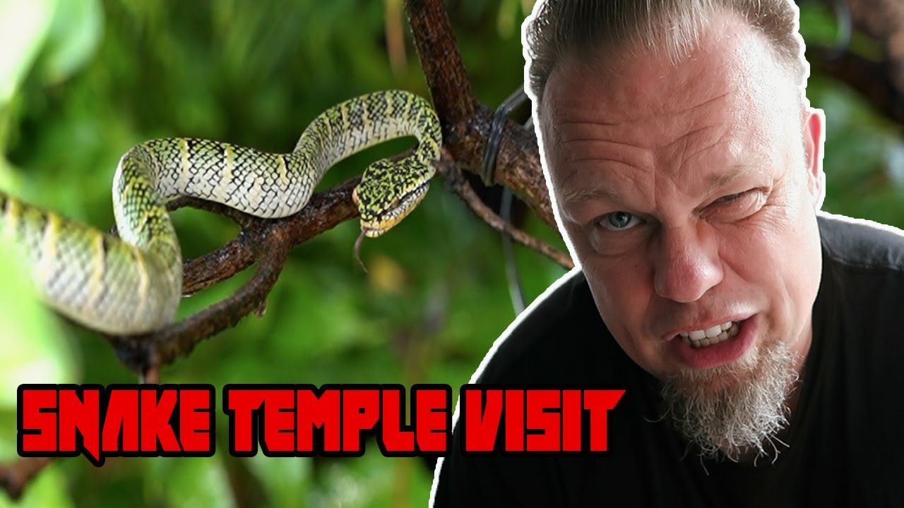 Temple of Snakes in Penang, Malaysia!