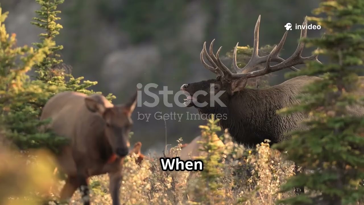 .308 win vs 7mm08 who will reign supreme 