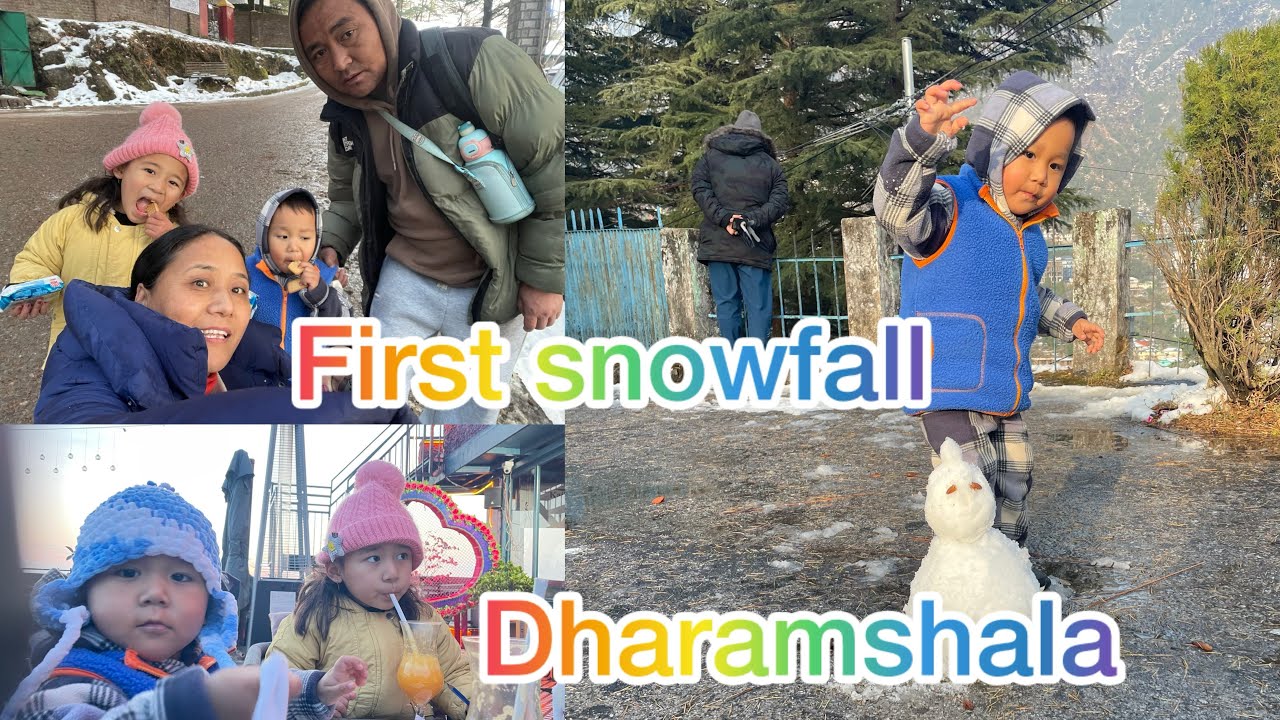 First snowfall at Dharamshala 2026.ཁ་བའི་མེ་ཏོག་ལྷུང་ལྷུང་དུ་བབས་ཤིང་།། རི་བོ་ཐམས་ཅད་གོས་དཀར་གཡོགས།།