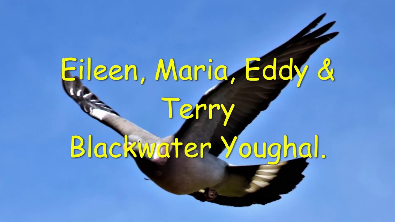 Terry Eddy Maria Eilen Finished copppie