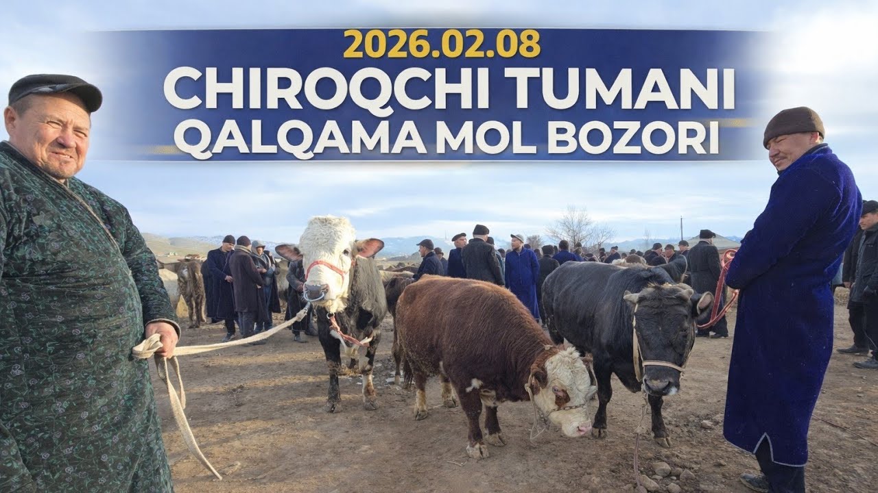 8 февраля 2026 г. CHIROQCHI TUMANI QALQAMA MOL BOZORI 