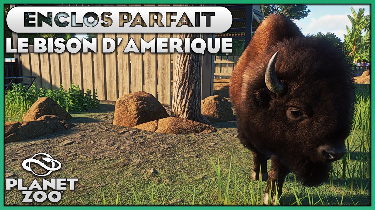 Les Bisons D'Amerique (du Nord) | LES ENCLOS PARFAITS : EPISODE 5 | PLANET ZOO