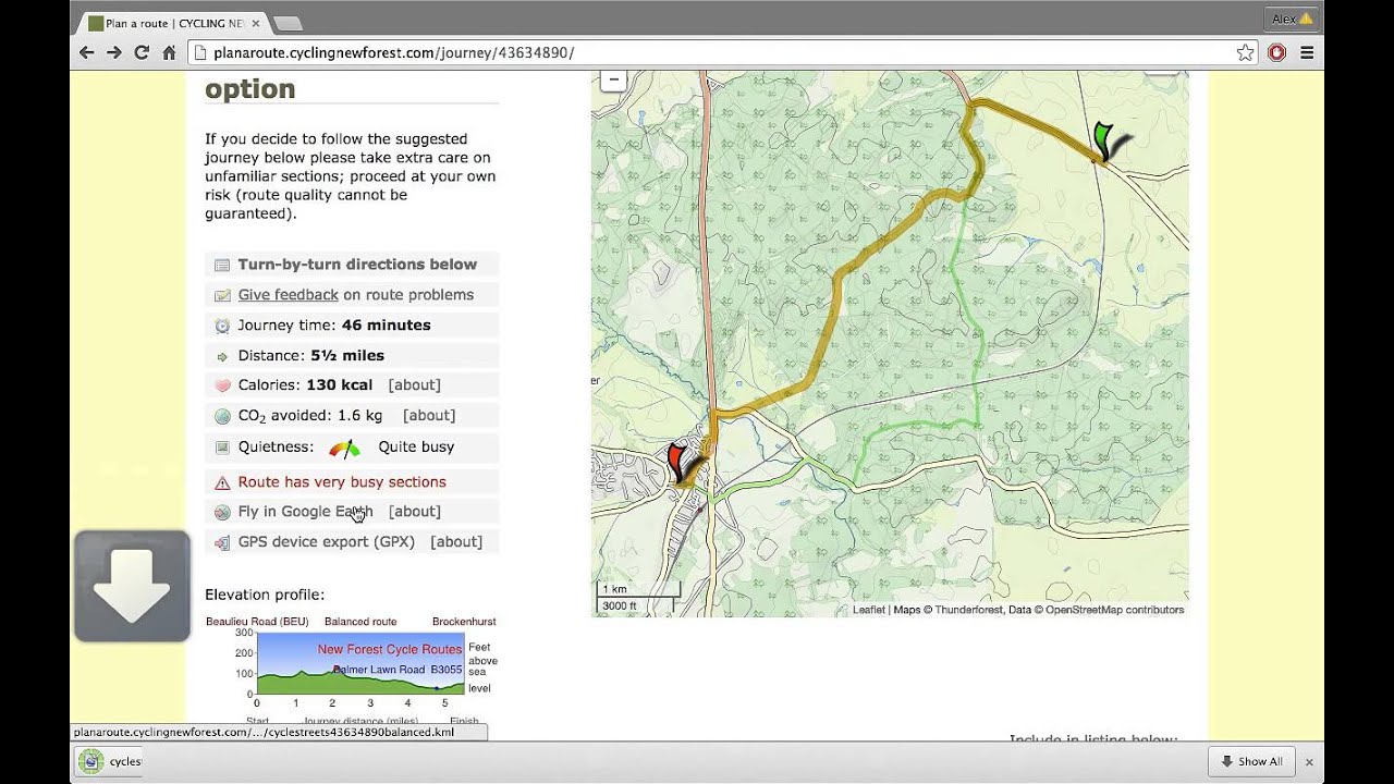 How to Plan a Cycle Route in the New Forest