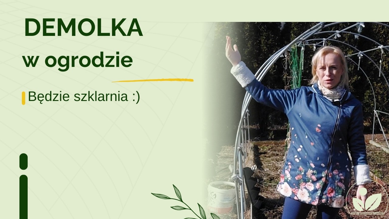 Demolka w ogrodzie, czyli przygotowania do postawienia szklarni z poliwęglanu część 1