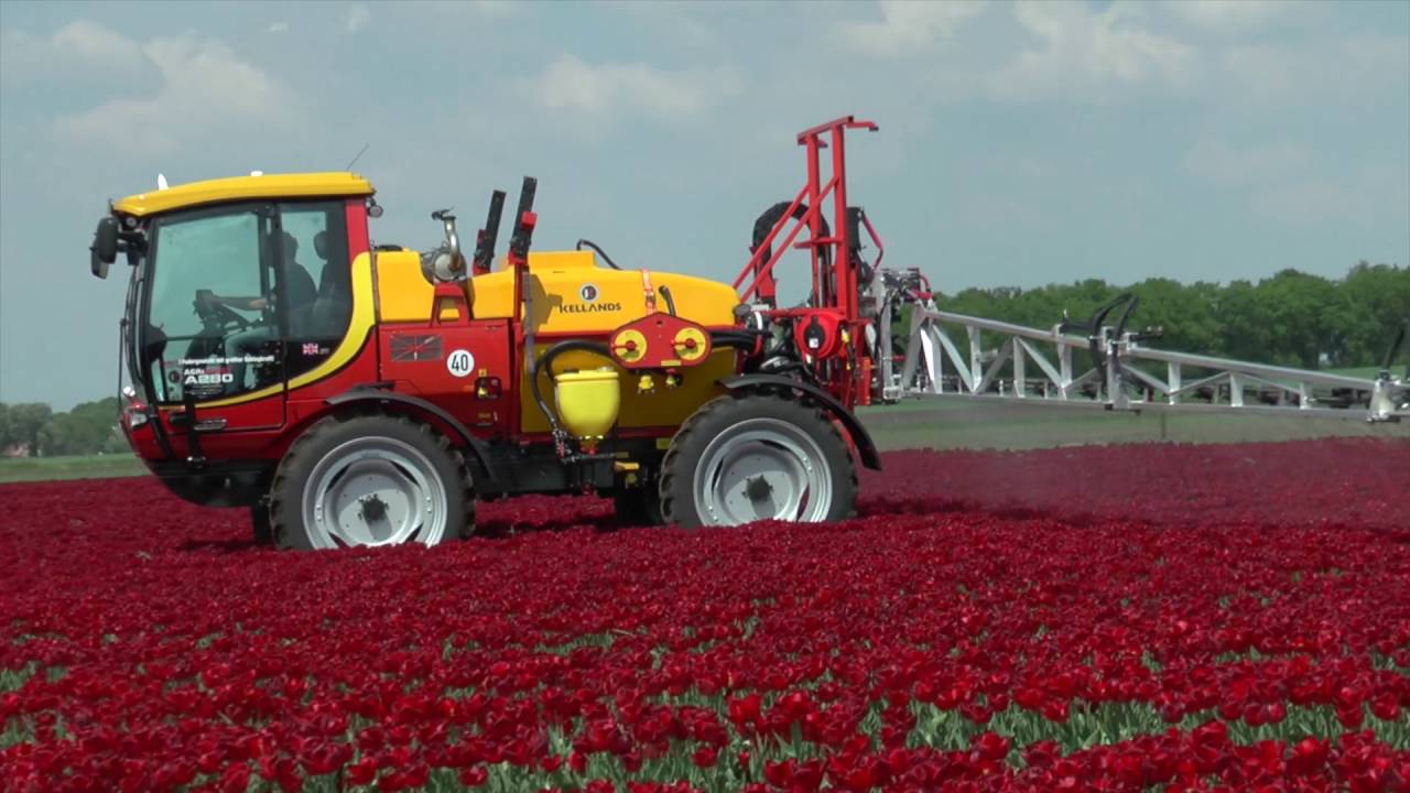 Kellands AgriBuggy works the Tulip fields of Holland