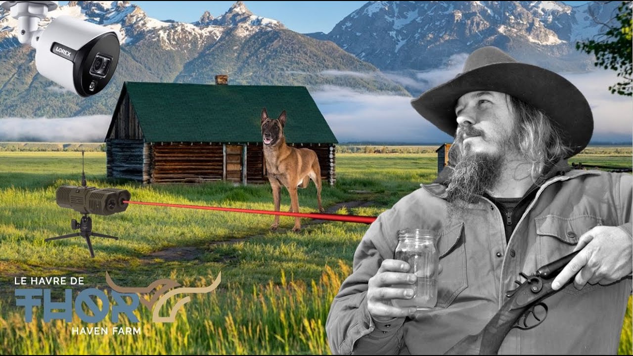 Strategies for Protecting Your Homestead