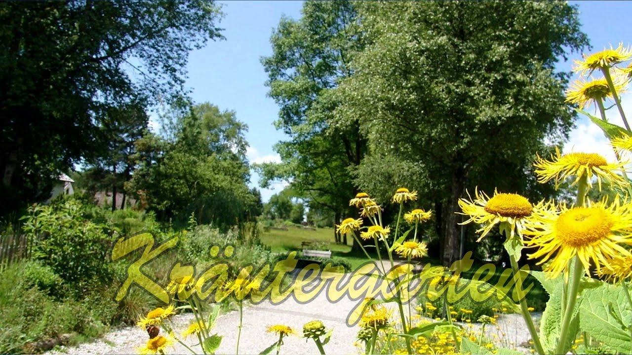 VIDEO-CLIP BAD HEILBRUNN