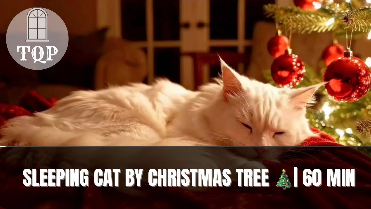 Sleeping Cat by Christmas Tree 🐱 TV Background | Cozy Screensaver 4K