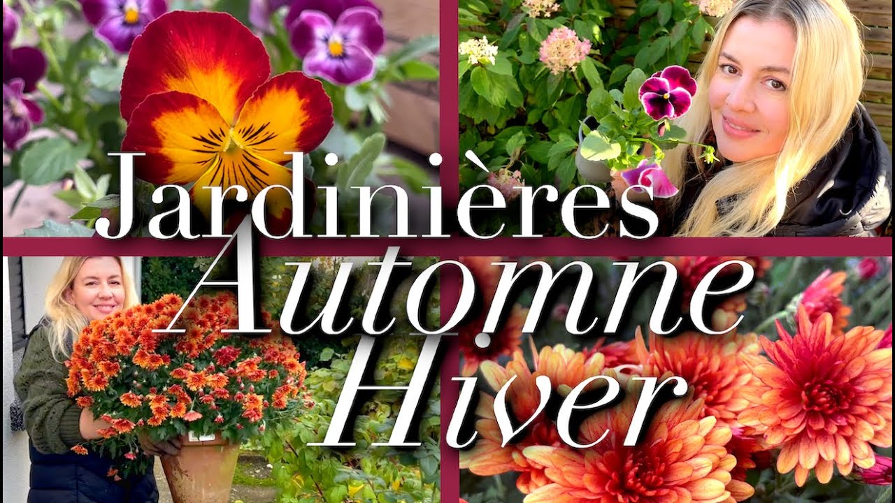 JARDINIÈRES AUTOMNE-HIVER: VIOLAS, CHRYSANTHÈMES...DES FLEURS PARTOUT JUSQU'AU PRINTEMPS!
