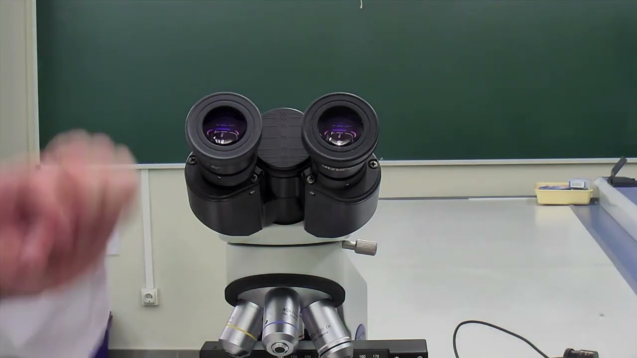 Uso del microscopio