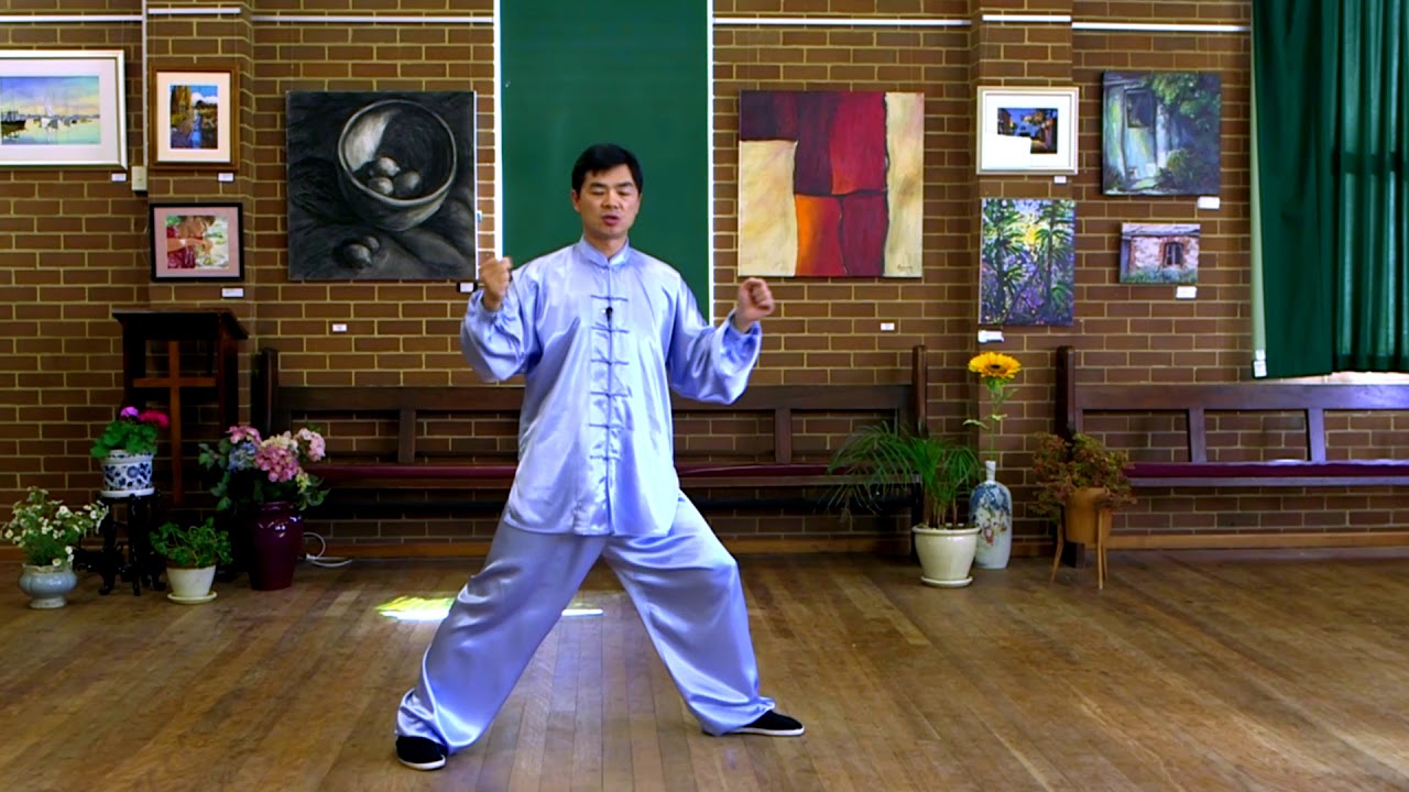 Tai Chi 40 Form Step by Step Instructions (Paragraph 3)