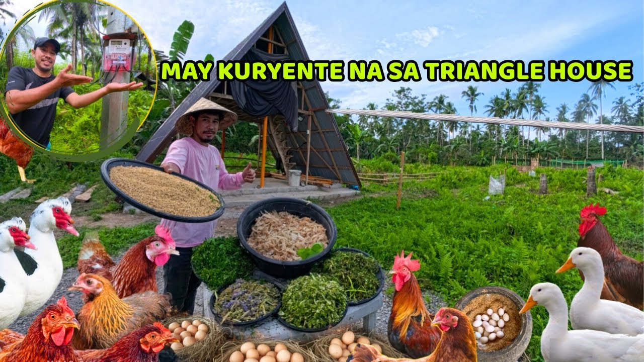 May KURYENTE na sa Triangle Farm House - Tuloy Ang trabaho sa SHOP