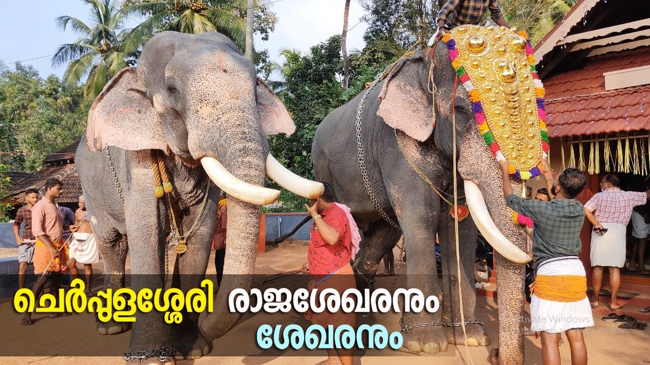 ചെർപ്പുളശ്ശേരി രാജശേഖരനും ശേഖരനും 🔥🥰 | Cherpulassery Rajasekaran | Cherpulassery Sekaran