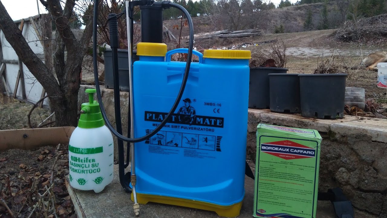 BORDO BULAMACI NASIL HAZIRLANIR NE İŞE YARAR?