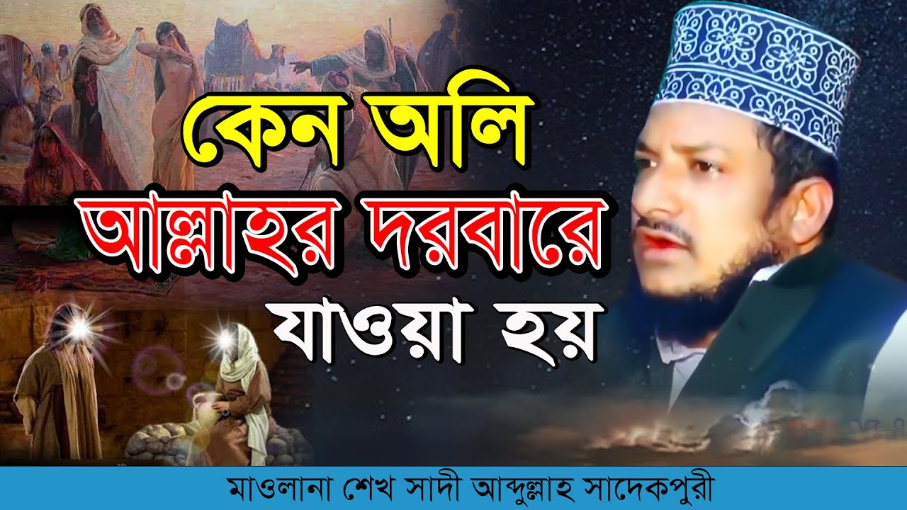কেন অলি আল্লাহর দরবারে যাওয়া হয় | শেখ সাদী আব্দুল্লাহ সাদেকপুরী | Mridha HD Media | নতুন ওয়াজ