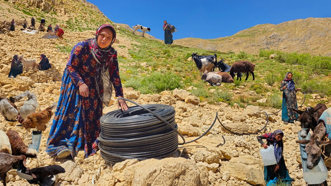 Nomadic Life: Nomads' Kindness Changes Everything 🤝🌿 | Nomadic Family Saves Thirsty Animals 🐑🐴