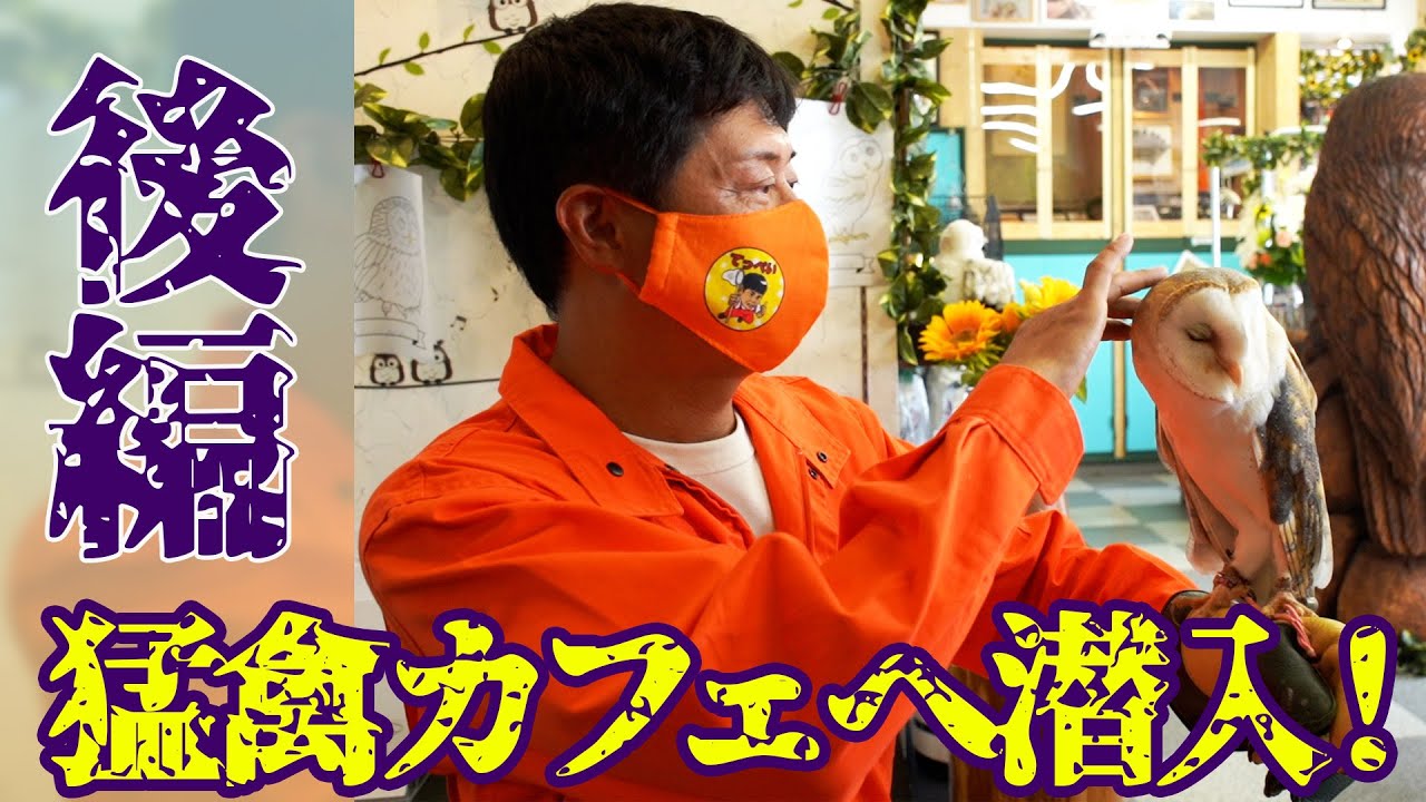 【猛禽カフェへ潜入！】フクロウやタカと触れ合う！！※後編