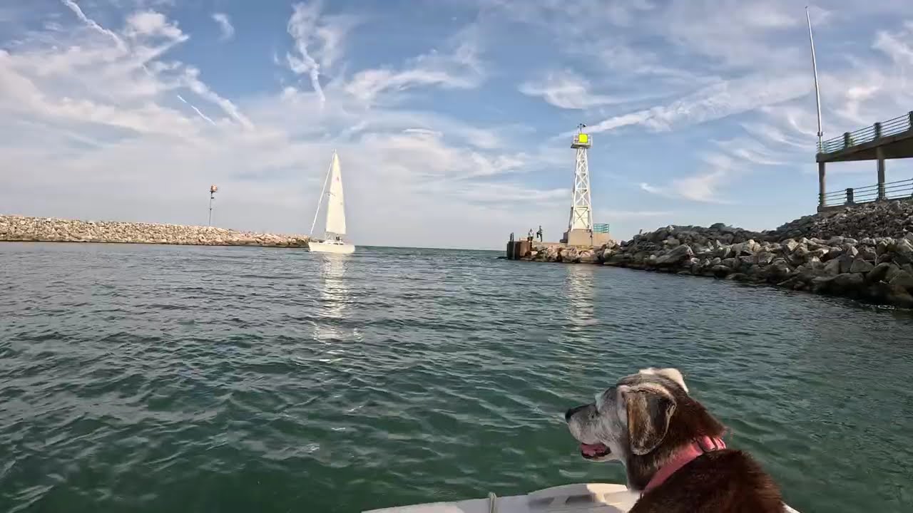 Marina Tour