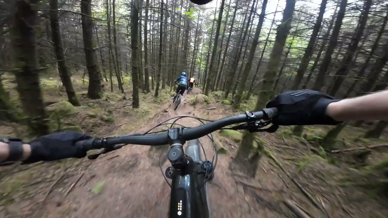 Some MTB runs at Tardree with the crew.