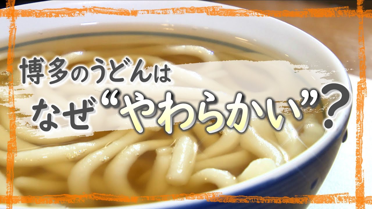 特集「キャッチ」　“やわらかい”うどんに隠された博多の気質