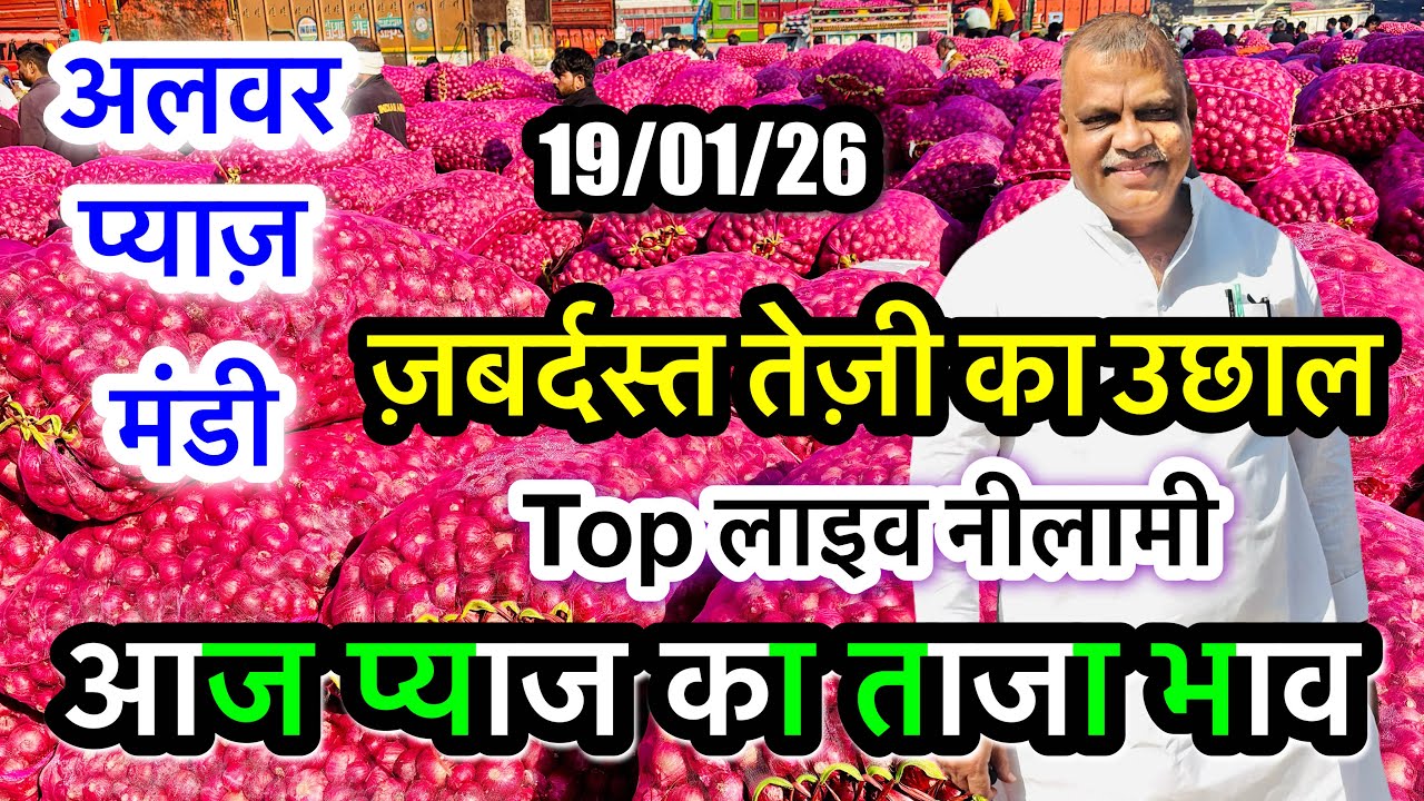 अलवर प्याज़ मंडी भाव आज का, Alwar Pyaj Mandi Bhav Today Onion Aaj Ka Rate Live Pappu Pradhan #onion 