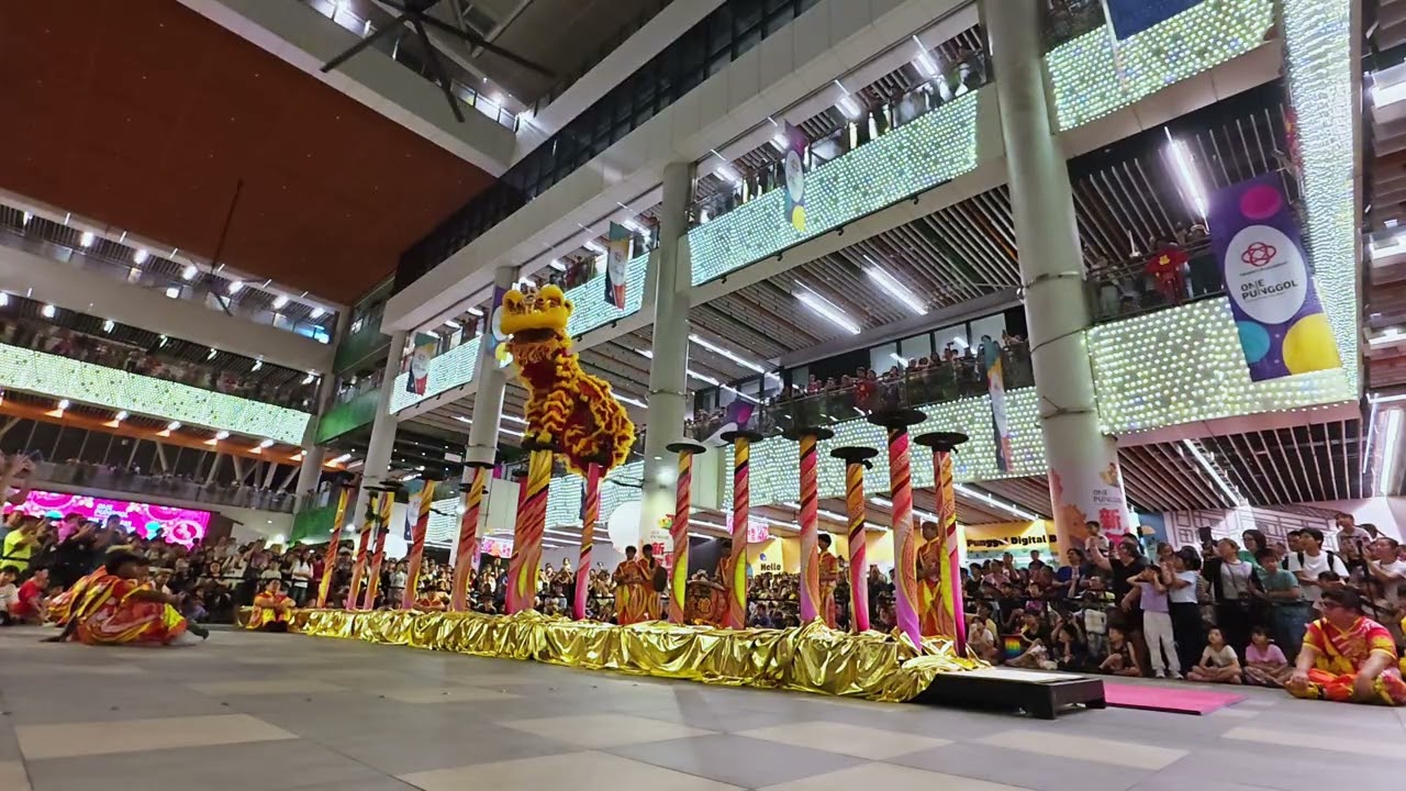 🎥 INSANE HIGH POLE LION DANCE CAPTURE! 🦁⚡ Nan Da Qi Xuan