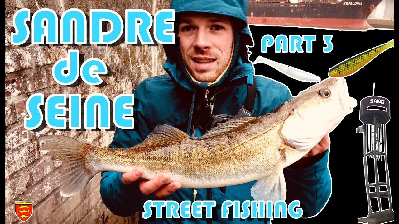 Pêche du sandre en Seine (part 3) : 7 jours = 7 séssions en street fishing !!!