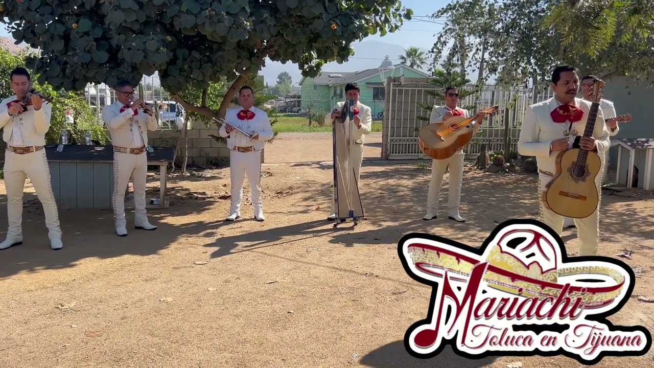 #mariachitolucaentijuana  #mariachisentijuana 