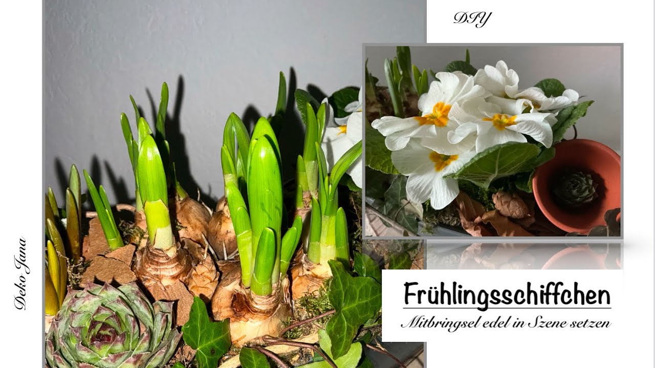 DIY: Ruck Zuck Frühlingslaune - „Deko im Schiffchen“- How to - Deko Jana