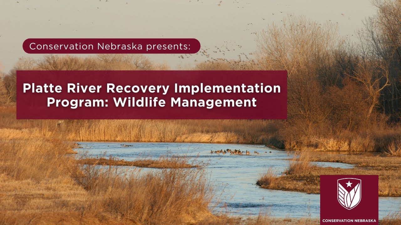 Platte River Recovery Implementation Program: Wildlife Management