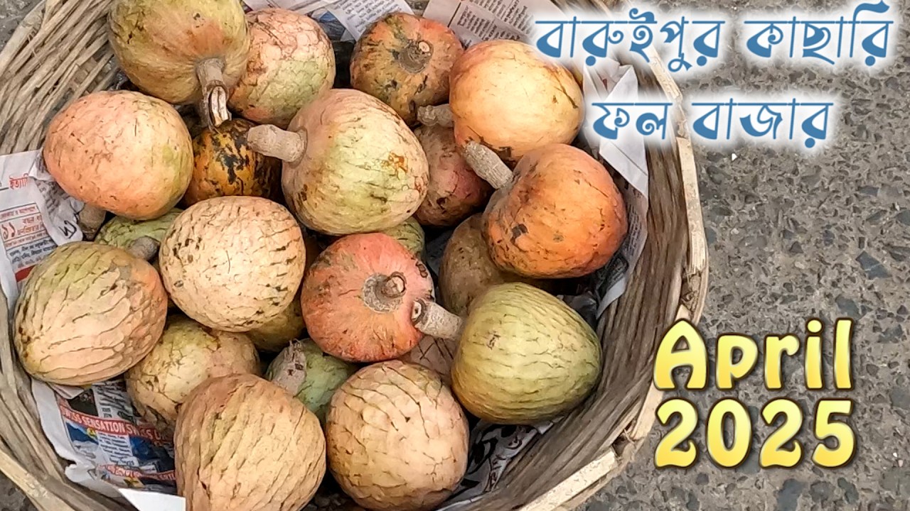 বারুইপুর কাচারি বাজার || দক্ষিণ ২৪ পরগনার বারুইপুরের ফলের বাজার | kolkata fruit market |#fruit