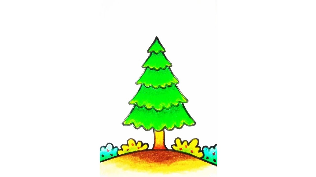 Tutorial Menggambar dan Mewarnai Pohon Cemara ( SPRUCE )