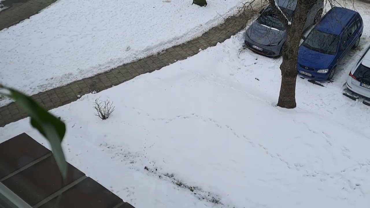 Update zum Schnee + ein paar Infos zum Kanal! | Flensburg, 20.02.2026