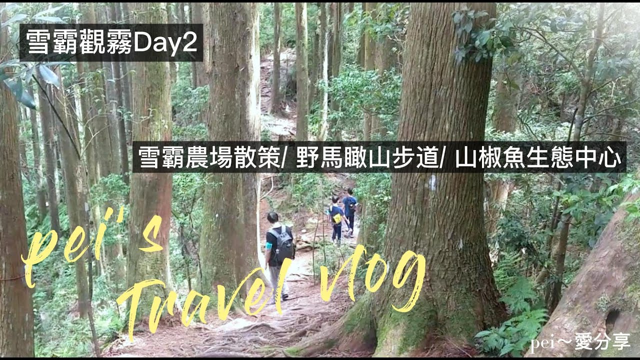 暑假小旅行—雪霸觀霧Day2/ 雪霸農場散策/ 野馬瞰山步道/ 山椒魚生態中心