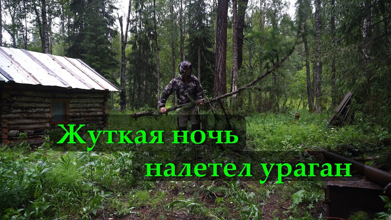 УРАГАН ВАЛИТ ДЕРЕВЬЯ. В ИЗБЕ СТРАШНО.КРУПНЫЙ ХАРИУС. МОЙ АККУМУЛЯТОР.