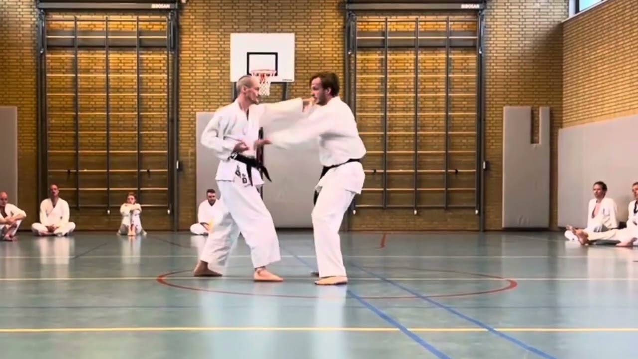 Shorin Ryu Karatedo in Enschede en Hengelo. Proefles ? www.shorinryu.nl