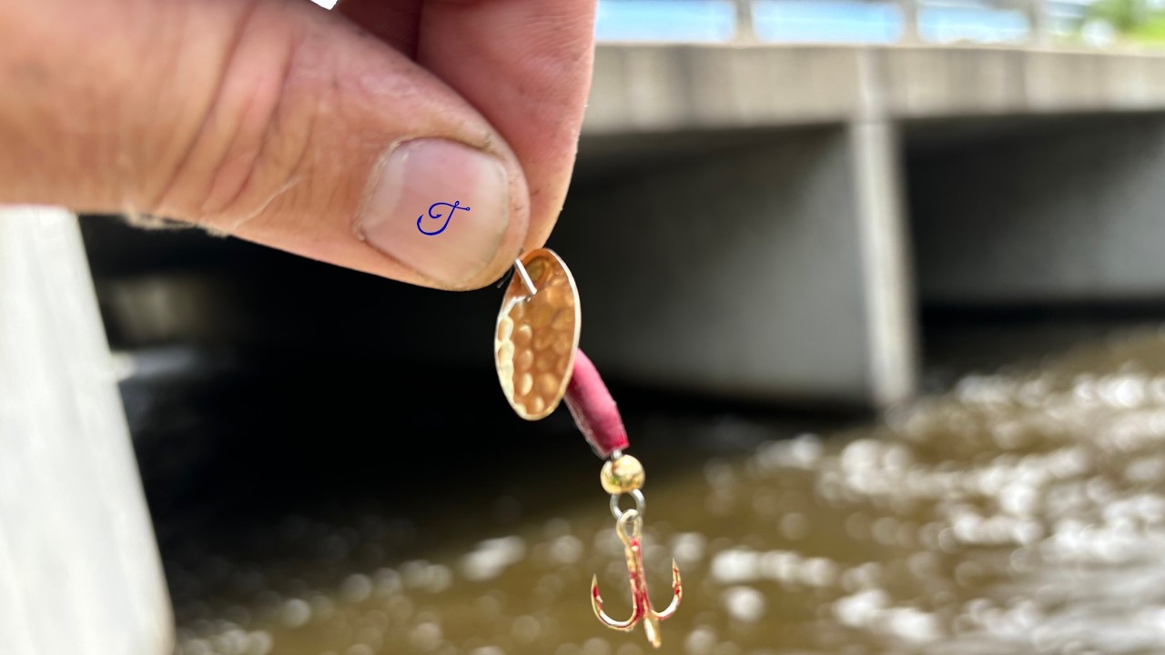 Spillway Catch and Cook - Do Rock Bass Taste Good? ONLY LEGAL IN WISCONSIN