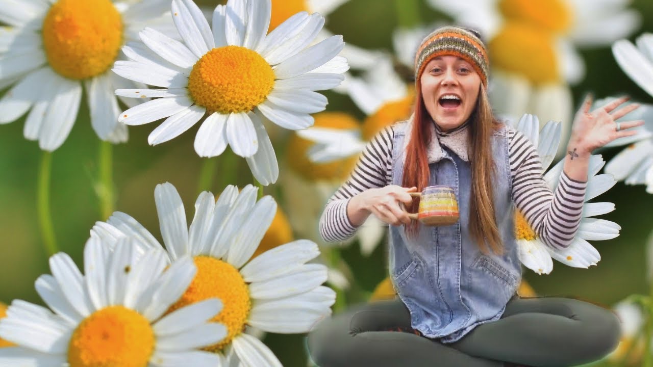Chamomile Herbs Kids Yoga Relaxation