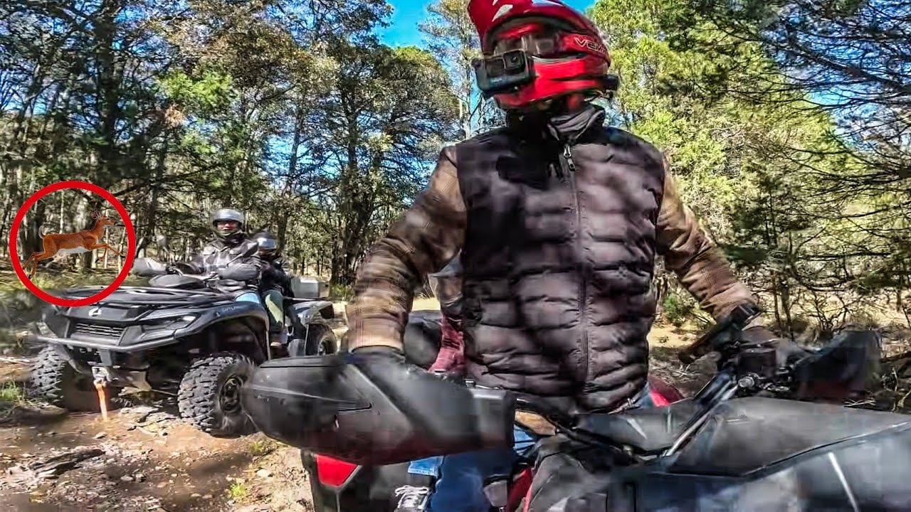 SIERRA FRIA Aguascalientes Nos Salieron VENADOS 