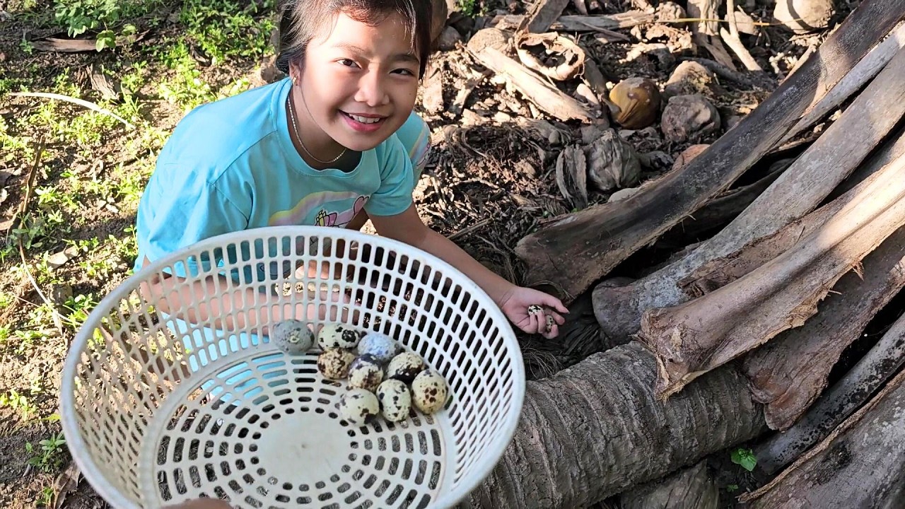 🥚🐦🔍 Muội đi tìm trứng cút 😮💖 Xí Mụi Food 1580