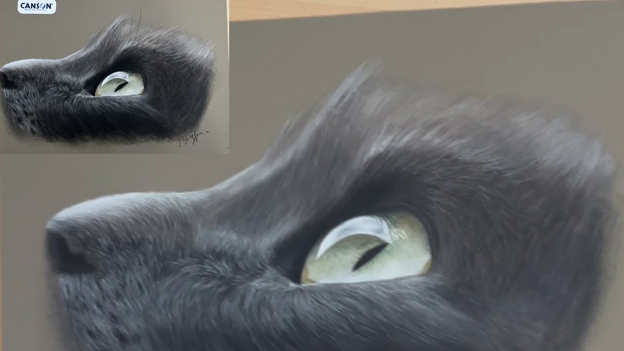 Réaliser un oeil de chat au pastel sec vidéo en temps réel