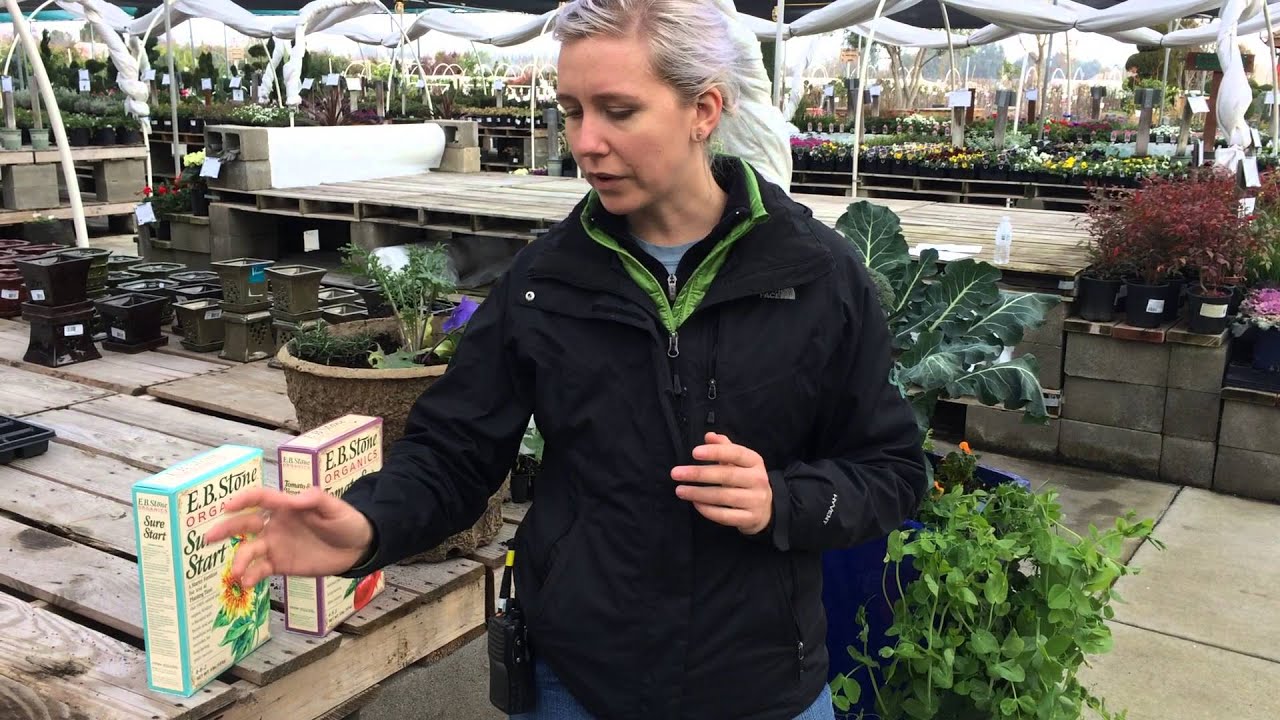 How To Guide- Plant an Edible Garden Part 1