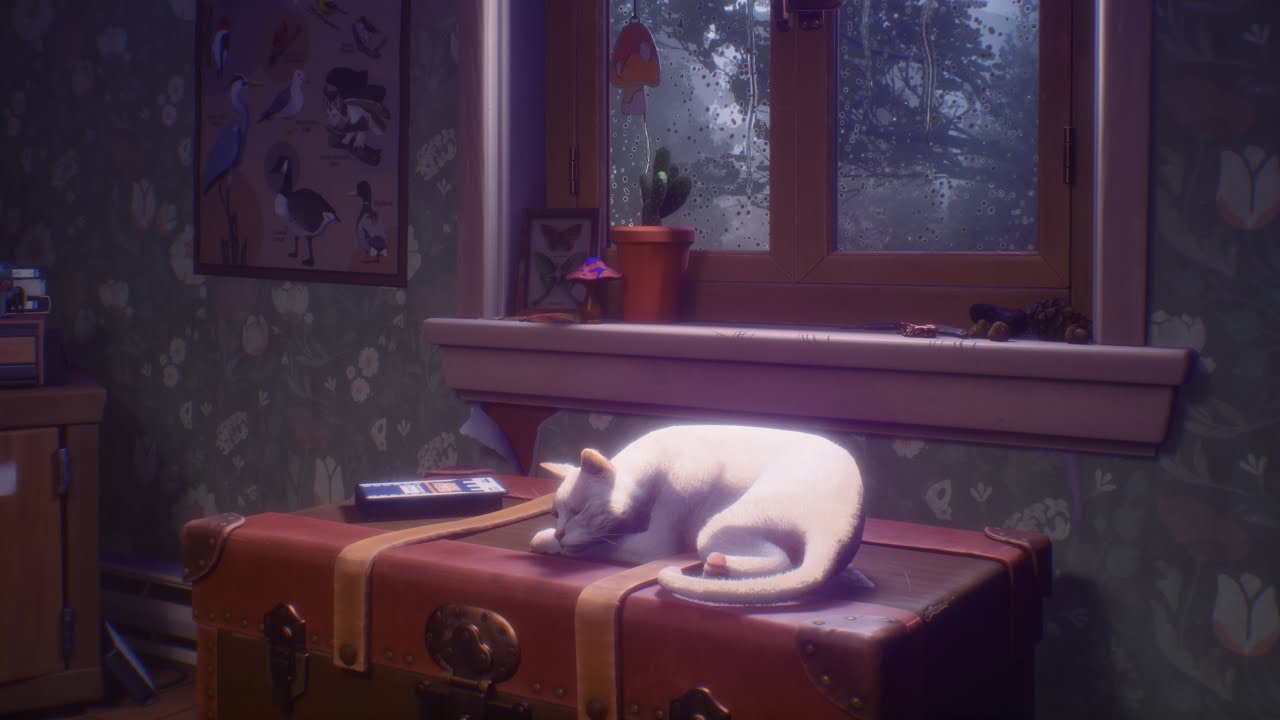 Lost Records: Bloom & Rage │ ASMR / Sleep Aid │ Swann's Room / Rainy Window ambience