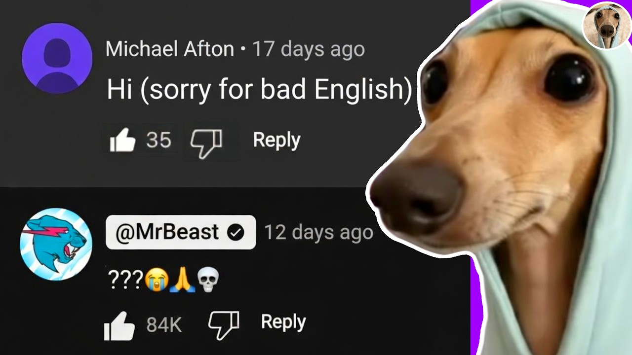 The DUMBEST COMMENTS ON THE INTERNET!