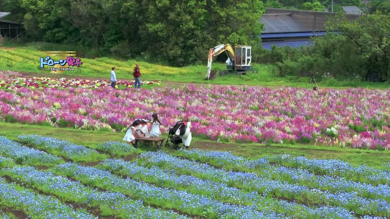 栃木県 那須フラワーワールド「まるで絵画のような花畑」ドローン男子空撮