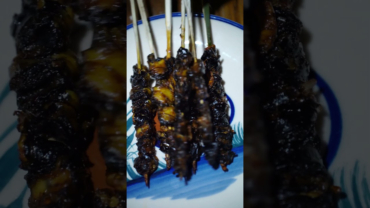 Grilled Snail Skewers & Snail Salad with Rice Crackers &ndash; Rustic Delights from the Farm