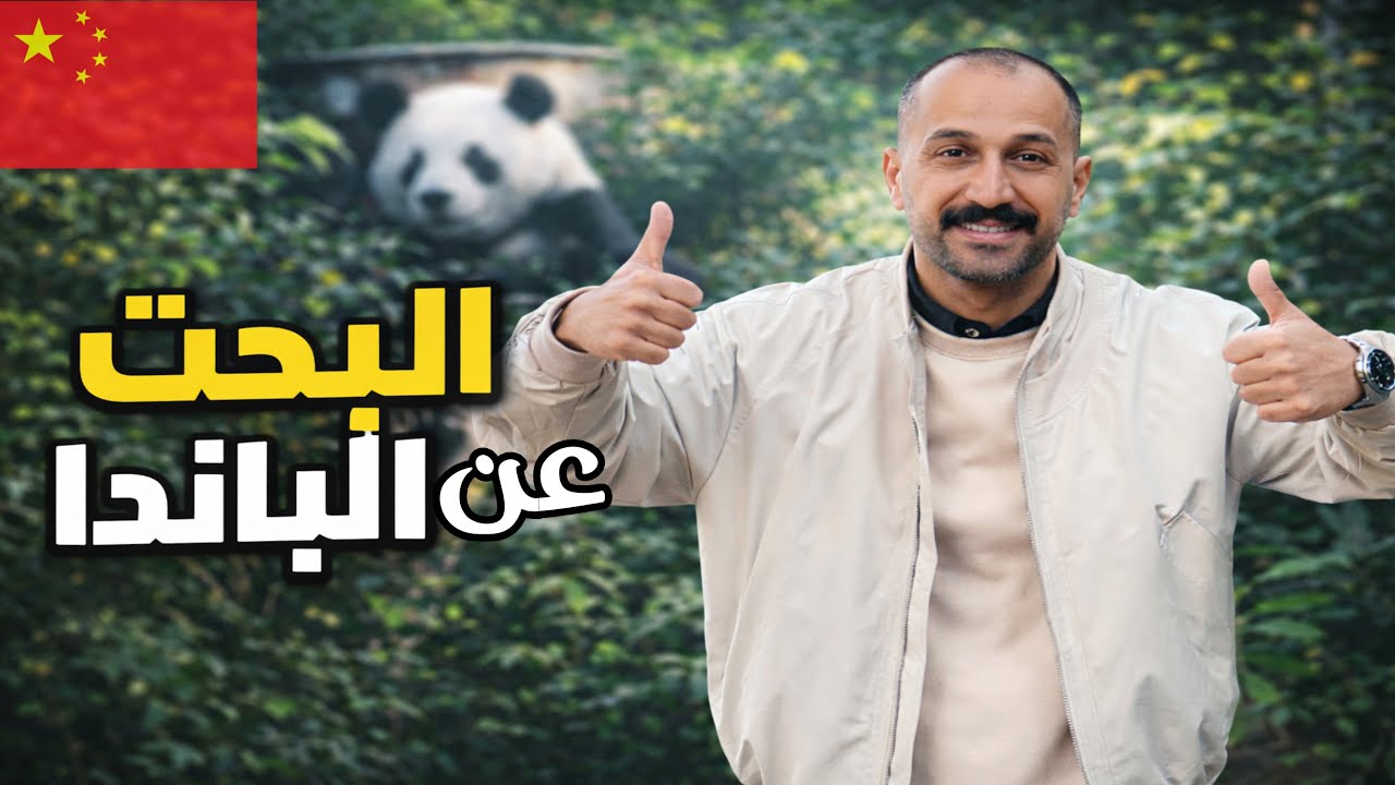 زرنا الباندا الصينية في حديقة حيوانات مدينة كوانزوا 