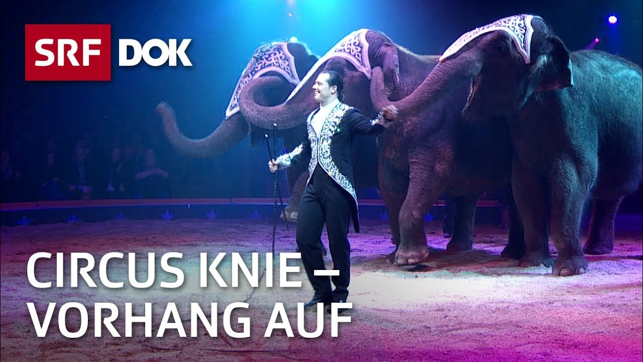 Circus Knie – Wie ein Programm entsteht | Fortsetzung folgt | Doku | SRF Dok